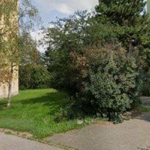 obrazek: avatar HEINRICH DANIEL