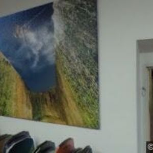 obrazek: avatar KAMAL COMPANY s.r.o.