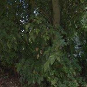 obrazek: avatar BYTOVÉ DRUŽSTVO TŘEBEŠOVSKÁ 2251-2256