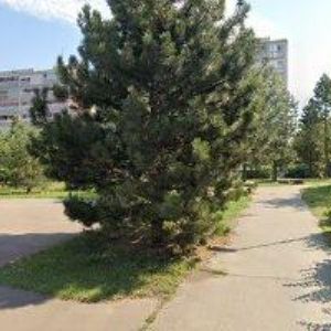 obrazek: avatar BYTOVÉ DRUŽSTVO HRABÁKOVA 1972-1973-1974