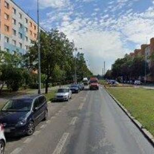 obrazek: avatar HRABINA JAN