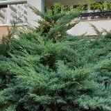 BYTOVÉ DRUŽSTVO ZÁZVORKOVA 1995-1999