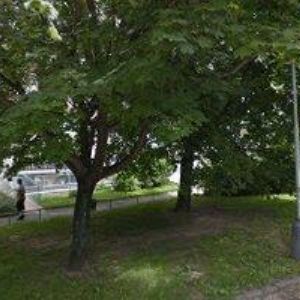 obrazek: avatar SPOLEČENSTVÍ VLASTNÍKŮ JEDNOTEK DOMU ŽANDOVSKÁ 302-310 PRAHA 9