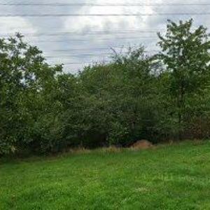 obrazek: avatar BYTOVÉ DRUŽSTVO ČENĚTICKÁ 8,10