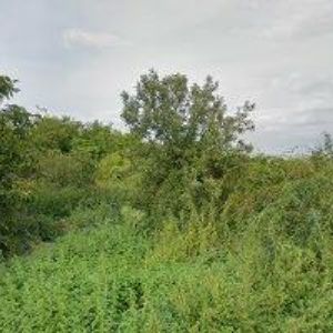 obrazek: avatar BYTOVÉ DRUŽSTVO LÍŠNICKÁ