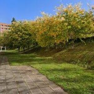 obrazek: avatar GJD BYTOVÉ DRUŽSTVO