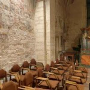 obrazek: avatar PRAŽSKÉ JARO, o.p.s.