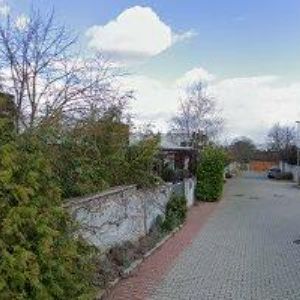 obrazek: avatar PINK PANTHER