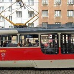 obrazek: avatar THE WORLD CIRCLE FOUNDATION, o.p.s.