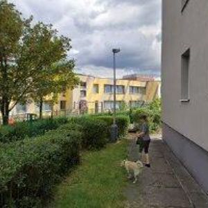 obrazek: avatar SUKŮV KOMORNÍ ORCHESTR, s.r.o.