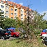 UMĚLECKÁ AGENTURA M.O.I.