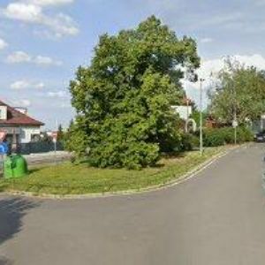 obrazek: avatar NOVOTNÝ PETR-GENEALOG