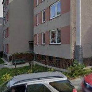 obrazek: avatar RODOKMENY FORTIN