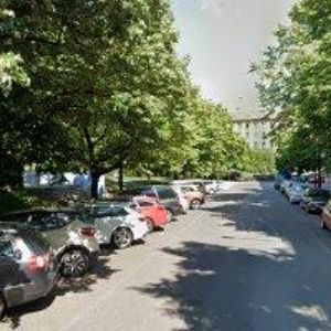 obrazek: avatar ANIMA NOIRA