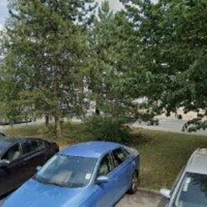 obrazek: avatar PARTYSTUDENT.CZ