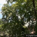 NEJLEPŠÍ NAROZENINY