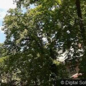 obrazek: avatar NEJLEPŠÍ NAROZENINY