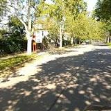 ORSÁGOVÁ SVĚTLANA MgA.