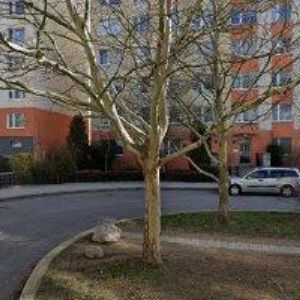 obrazek: avatar PARTYPROGRAM.CZ