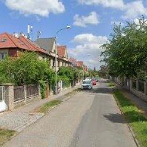 obrazek: avatar VADAS MARTIN