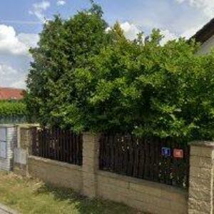 obrazek: avatar ALEXANDROVNA MARIE MAGDALENA-MAYA