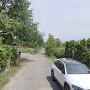 obrazek: avatar APPLE TREE EVENTS s.r.o.