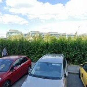 obrazek: avatar MISS ČESKÉ REPUBLIKY