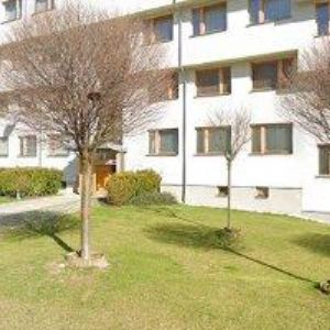 obrazek: avatar DRAHOVZALOVÁ SOŇA