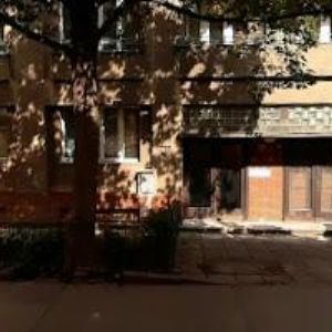 obrazek: avatar SHŠ RYTÍŘI ŘÁDU RŮŽE