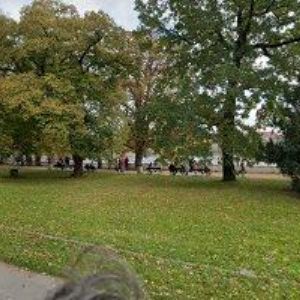 obrazek: avatar TAI CHI NA KAMPĚ