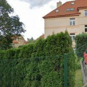 obrazek: avatar JÓGA V KORUNÁCH STROMŮ