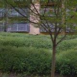 MIKEŠOVÁ MARCELA MUDr.