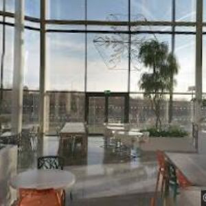 obrazek: avatar DEDOLES