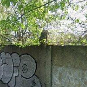 obrazek: avatar LOGIRAX s.r.o.