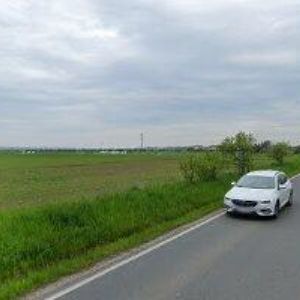 obrazek: avatar IFORESTER.CZ