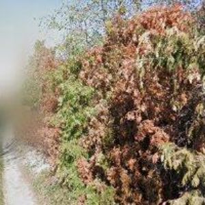 obrazek: avatar VOSTÁREK ZDENĚK