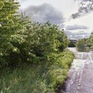 obrazek: avatar TENIS ŠMUKÝŘKA