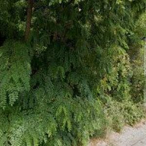 obrazek: avatar TENIS CENTRUM MANDLÍK s.r.o.