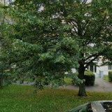 SEBEOBRANA PRAHA z.s.