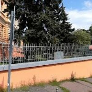 obrazek: avatar ČESKÁ ASOCIACE SIU LUM PAI HUNG KAR