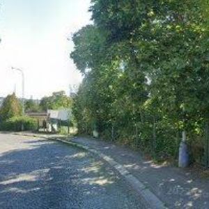 obrazek: avatar SQUASH SCHOOL