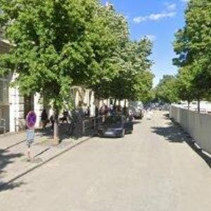 obrazek: avatar RAPTOR DOJANG