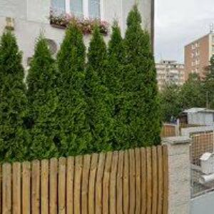 obrazek: avatar TEREZIA COMPANY s.r.o.