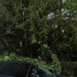 BIO AGENS RESEARCH AND DEVELOPMENT-BARD, s.r.o.