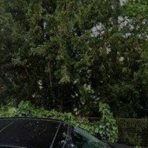 obrazek: avatar BIO AGENS RESEARCH AND DEVELOPMENT-BARD, s.r.o.