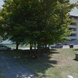 TJ ČESKÁ ZEMĚDĚLSKÁ UNIVERZITA V PRACE