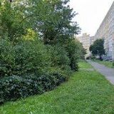 HC KERT PARK PRAHA z.s.