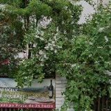 BOHEMIA AIKIKAI, z.s.