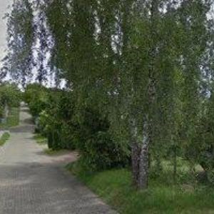 obrazek: avatar MS TRADE s.r.o.