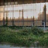 ČESKÁ SENIORSKÁ GOLFOVÁ ASOCIACE